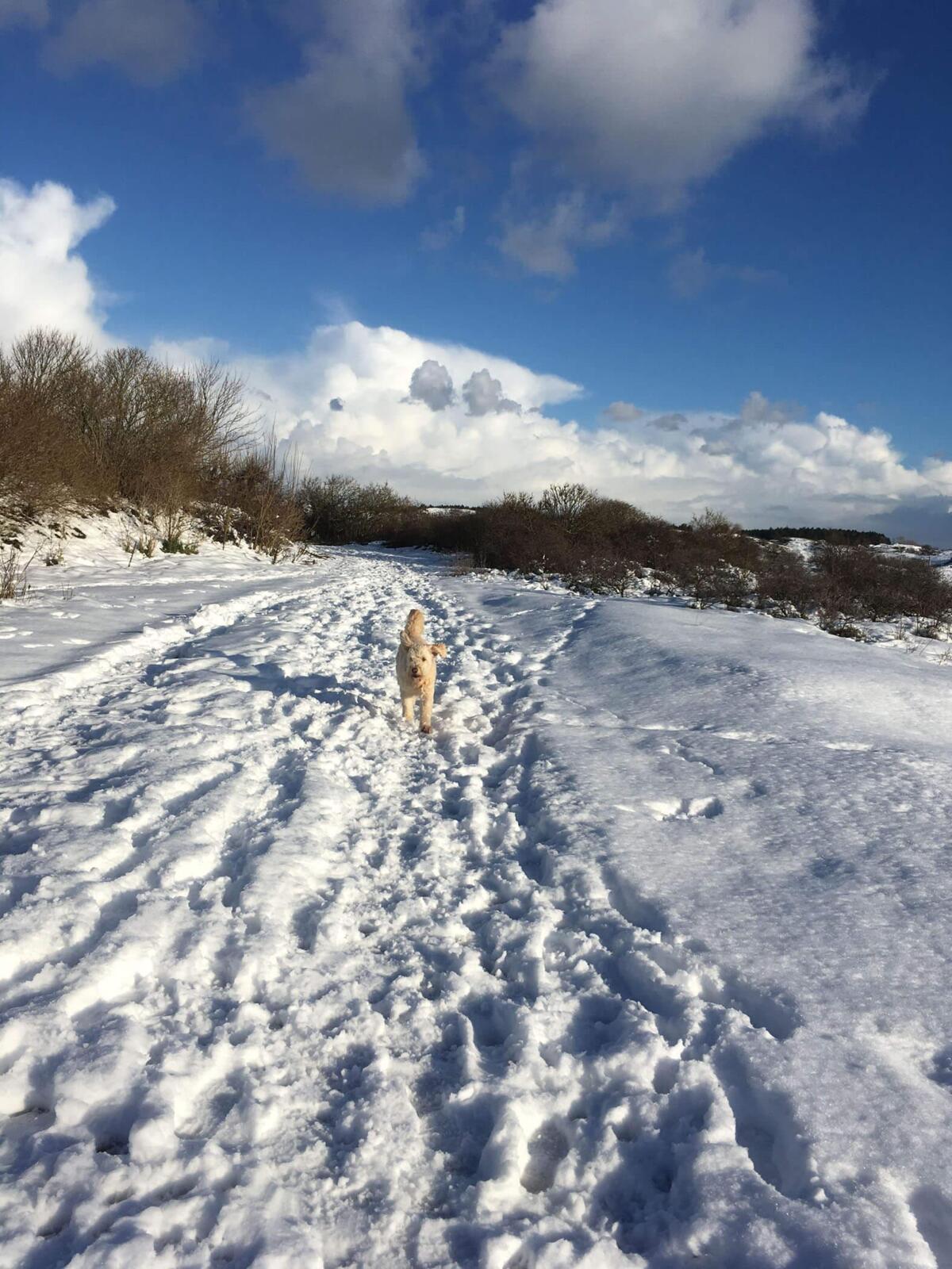 sneeuwpret_kopie.jpg